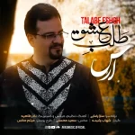 دانلود آهنگ ارس به نام طلب عشق