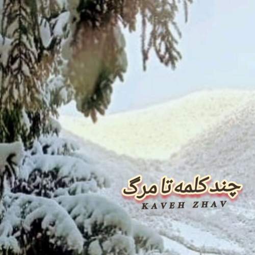 کاوه ژاو چند کلمه تا مرگ (بیکلام)